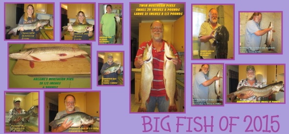 7 Big fish 12